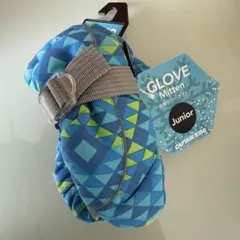 Item thumbnail for item 1cecd8aa-58fc-417f-9126-92f6a428e72b