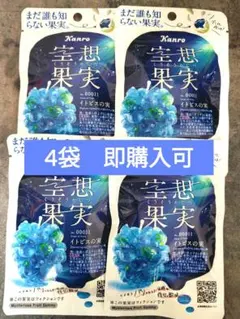 Kanro 空想果実イトピス 4袋セットのサムネイル