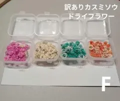 訳ありカスミソウ ドライフラワー