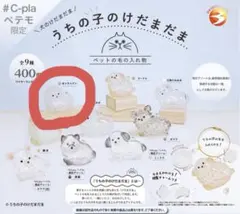 うちの子のけだまだま ポメラニアン