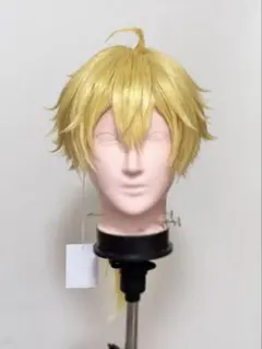 ウィッグセット 確認ページ - メルカリ
