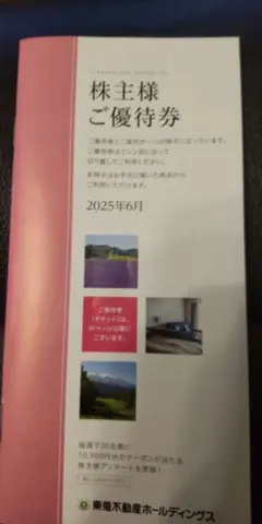 株主優待券　東急不動産ホールディングス　1冊　送料無料