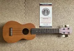 Item thumbnail for item 1ef53d32-c300-4502-aaf3-0fd1fd95e9b7