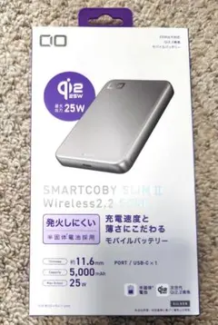 CIO 福袋 ヨドバシカメラ ポーチ モバイルバッテリー SMARTCOBY - メルカリ