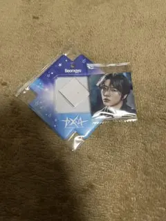 TXT ビジュアルスクエアフォトシールケース ボムギュ