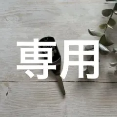 PXG ピーエックスジー グリーンフォーク シルバー×ブラック ゴルフ