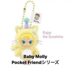molly Pocket Friends
