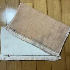 Item thumbnail for item 64d9ce7f-1a4a-43bf-9ca1-37b5ec2f1b80