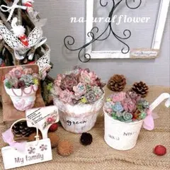 そのまま飾れる多肉植物 3点セット♥️ピックとミニプレート付き♡リメイク鉢