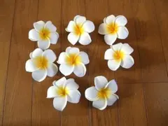 Item thumbnail for item 70dcfe88-3c19-4862-93e9-06ed0ee74874