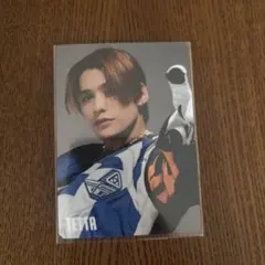 柴犬様 リクエスト 2点 まとめ商品