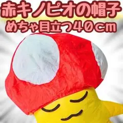 kinokko ぬいぐるみ　3個セット　ピンク　レッド　グリーン　赤　緑　きのこ kinokko ぬいぐるみ 3個セット ピンク レッド グリーン 赤 緑 きのこ