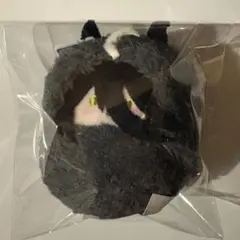 ウマ娘プリティーダービー　くるみたぴぬい　マンハッタンカフェ