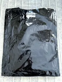 Aえ！group Tシャツ LIVE2020 STARTING NOW ロンT