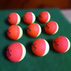 【ロストボール】Srixon ゴルフボール 9個