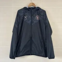 Item thumbnail for item 5a0bbb69-2f3a-422e-bd8e-ac7fe94a3de3