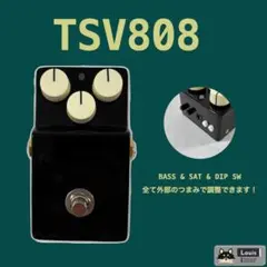 2026年最新】TSV808の人気アイテム - メルカリ