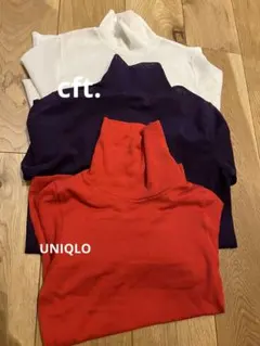 Item thumbnail for item d3b73d1f-5627-448e-90e4-37629513f0ef