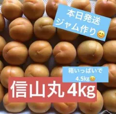 2026年最新】生食あんずの人気アイテム - メルカリ