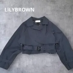 Item thumbnail for item 02e839bf-134d-4b7c-8829-91e0a4c67a57