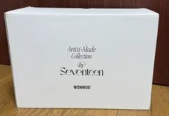 SEVENTEEN ウォヌ アーティストメイド バッグ seventeenウォヌ アーティストメイド カメラバッグ ※トレカ無し