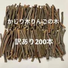 가지리 키 사과 나무 (나무 포함) 번역: 200