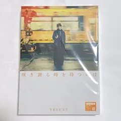 2026年最新】イェソン トレカの人気アイテム - メルカリ