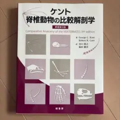 脊椎動物の比較解剖学