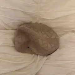 Lacoste ラコステ ベージュ ハンチング帽子