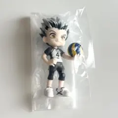 木兎光太郎 パルバース