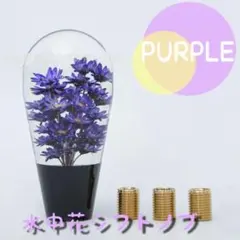 2026年最新】昭和レトロ 水中花の人気アイテム - メルカリ