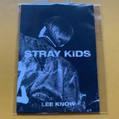 straykids ミニフォトブック リノ