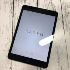 使用期間約5ヶ月 iPad mini 16GB Wi-Fi 美品良品です♪