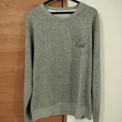 グレートレーナー