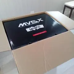 化粧箱輸送箱のみMVSX外箱