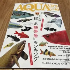 Item thumbnail for item 107247c1-455f-461c-b00d-ee32666c7e2a