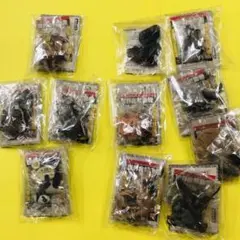 世界自然動物 アジア・オセアニア編 10種11個世セット