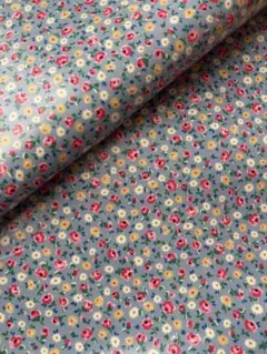 Item thumbnail for item e6a90369-6ca1-4e0b-96e0-2dcd6bcda54a