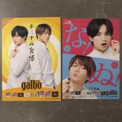 中島健人 菊池風磨 ガルボ クリアファイル＆アクリルシート