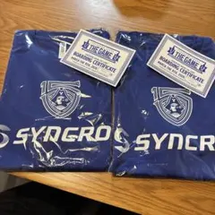 ☆2枚セット☆ 横浜ビーコルセアーズ　3/7.3/8入場者記念Tシャツ Lサイズのサムネイル