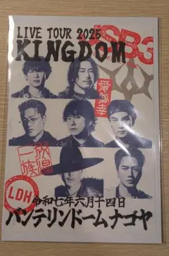 三代目JSB KINGDOM 登坂広臣 御朱印 愛知会場限定 2枚セット