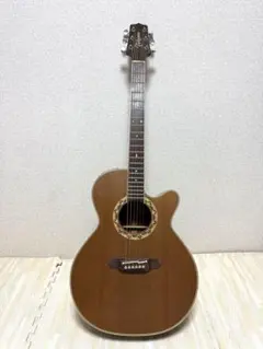 2026年最新】takamine pt 106の人気アイテム - メルカリ