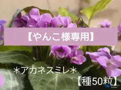 やんこ様専用ページです★