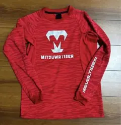 Item thumbnail for item 7e443a9a-c478-4fb0-ad45-af6beecc76c3