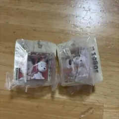 PEANUTS ピーナッツ スヌーピー パッケージミニチュアコレクション