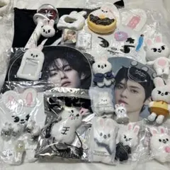 StrayKids LeeKnow Leebit リノ グッズ まとめ売り
