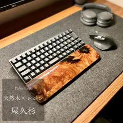 Item thumbnail for item 9920e0e0-6d54-417d-897f-9494b39c9ec6