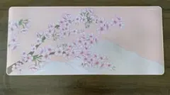 X-raypad Aqua Control II Sakura Blue XXL