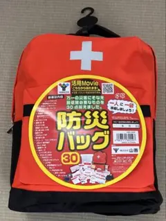 山善 防災バッグ YBG-30R