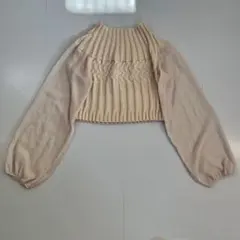 Item thumbnail for item 2c3648a3-a38b-41d5-95b6-4eae1c292491